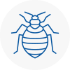 Bed Bug Extermination In Beverley
