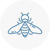 Bee Nest Removal Beverley
