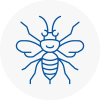 Beverley Hornet Nest Removals