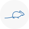 Mice Exterminators In Beverley