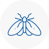 Moth Control Specialists In Beverley
