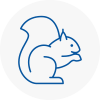 Beverley Rodent Removals