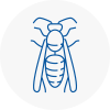 Beverley Wasp Nest Removal